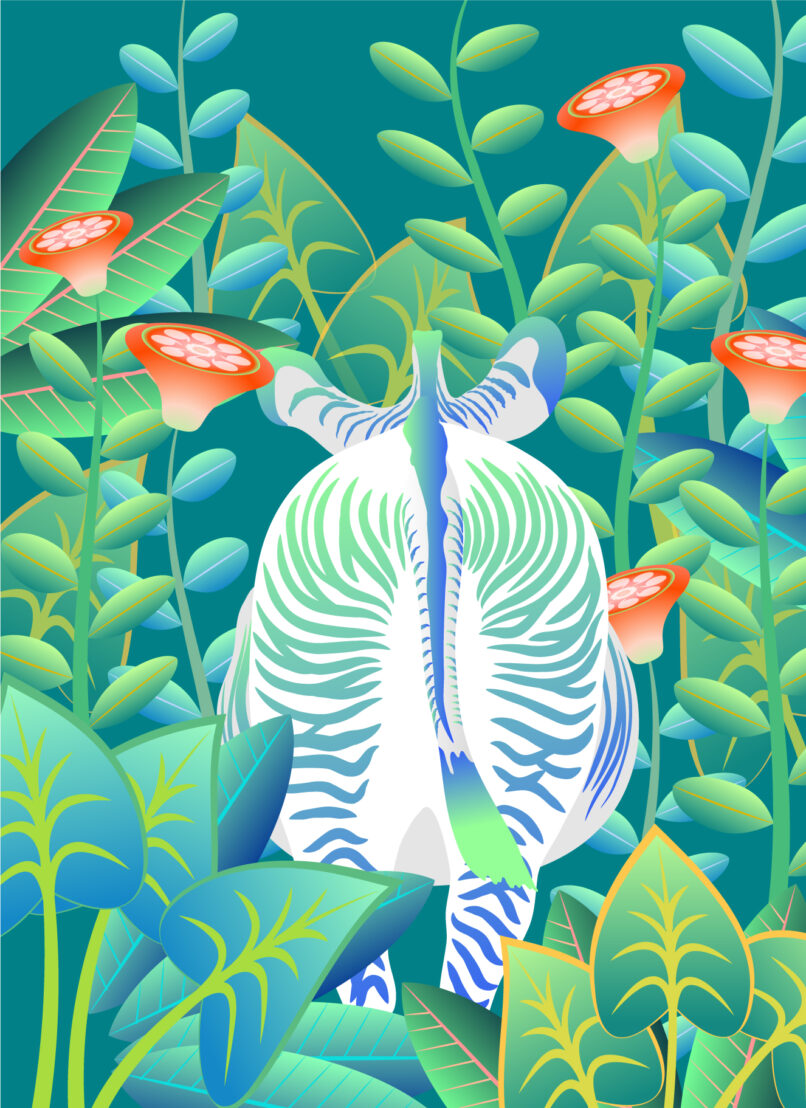 An illustration for toy cards using Adobe Illustrator
